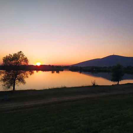 Napraforgo Apartman Tokaj Appartement Buitenkant foto