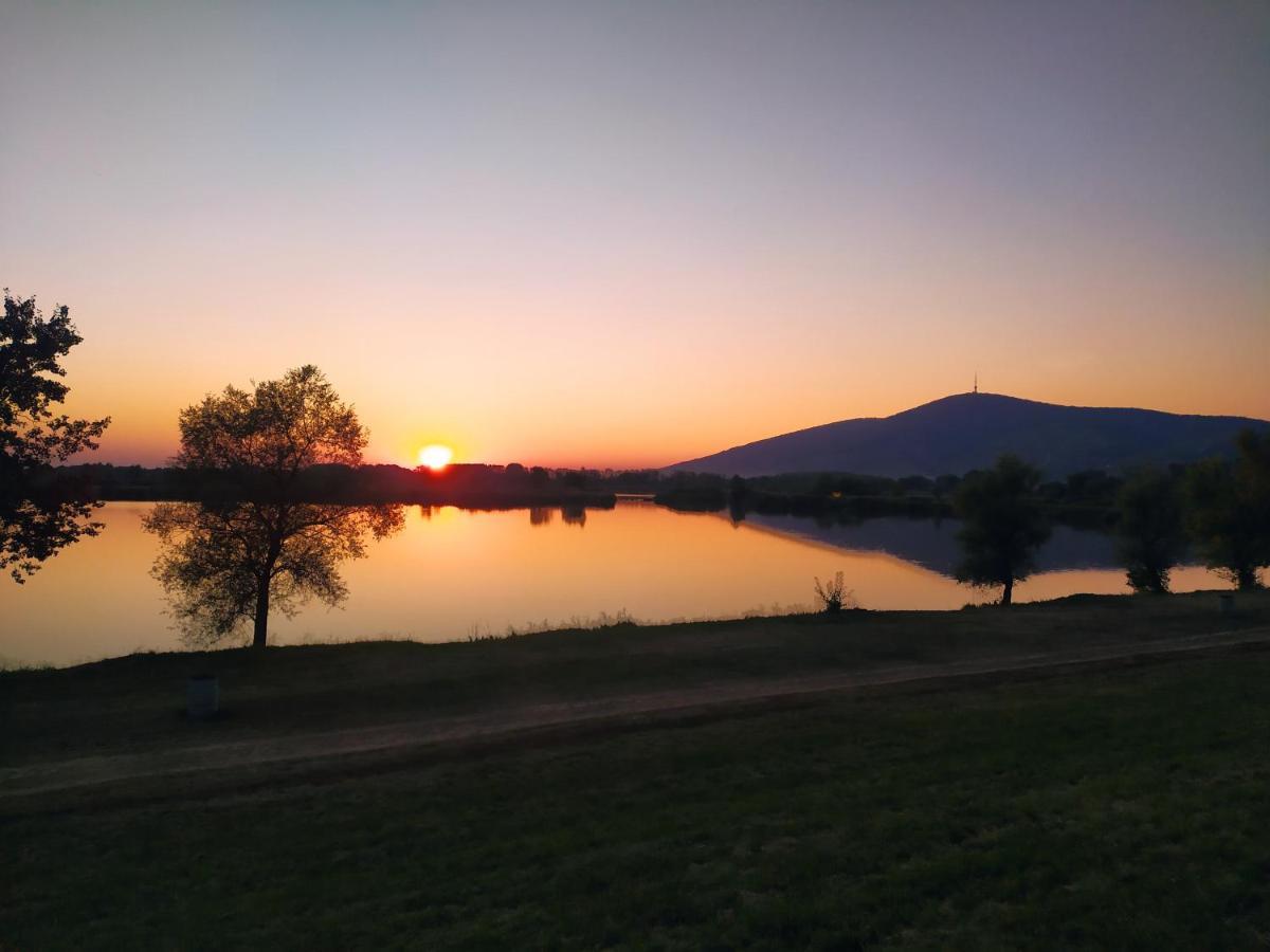 Napraforgo Apartman Tokaj Appartement Buitenkant foto