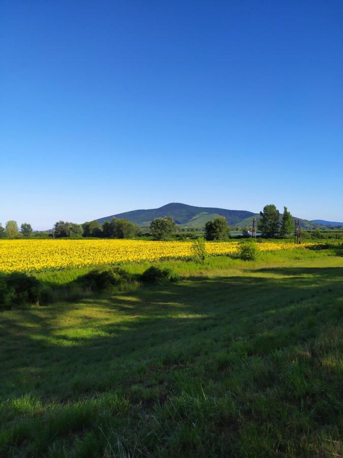 Napraforgo Apartman Tokaj Appartement Buitenkant foto